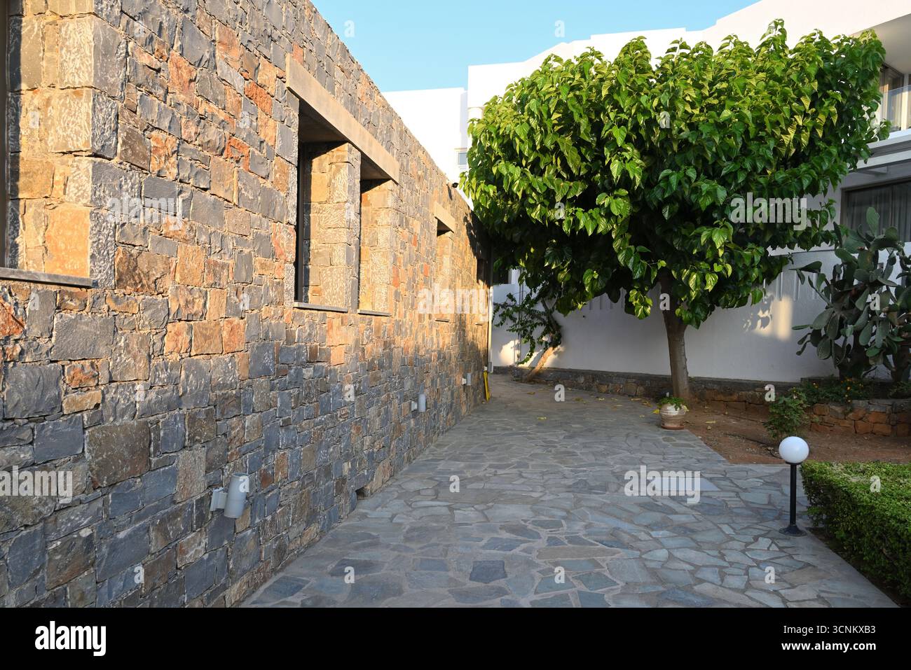 Hôtel et plantes à Sissi en Crète, Grèce Banque D'Images