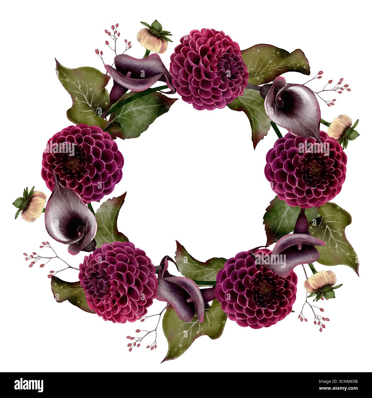 Illustration aquarelle de dahlia et couronne de lis calla avec des feuilles vertes dans un cadre floral circulaire sur fond blanc. pour mariage, sympathie, funérailles Banque D'Images