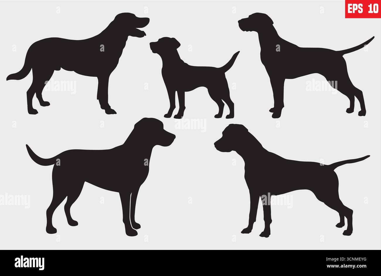 silhouette de chien set canne corso illustration de conception vectorielle Illustration de Vecteur