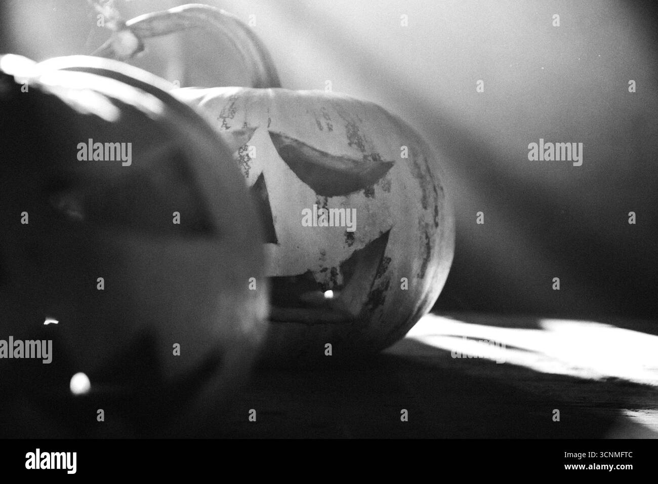 Fond d'Halloween effrayant avec Jack'o'lanternes, citrouilles d'Halloween brillantes dans la nuit Banque D'Images