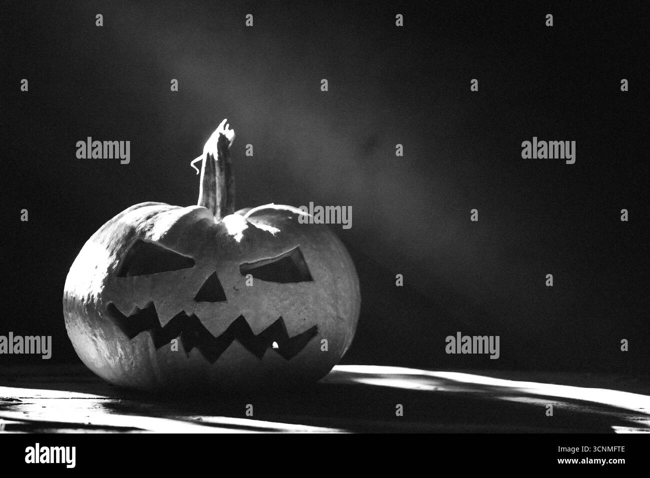 Arrière-plan effrayant d'Halloween avec des citrouilles Jack'o'lanterne d'Halloween brillantes dans la nuit Banque D'Images