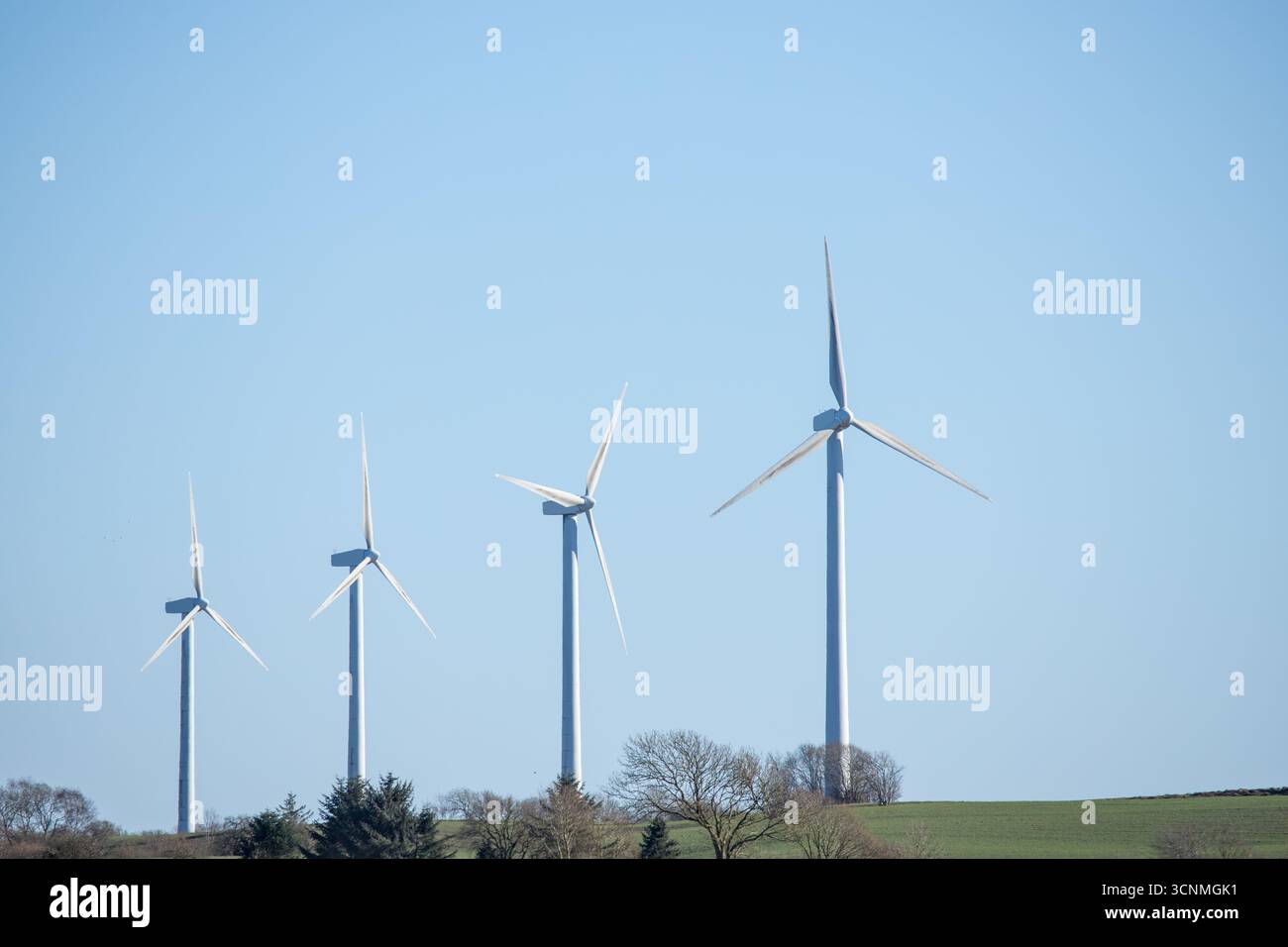 Quatre moulins à vent dans une rangée sur un champ vert un jour de printemps avec un ciel bleu clair derrière pour le texte, énergie éolienne verte au Danemark Banque D'Images