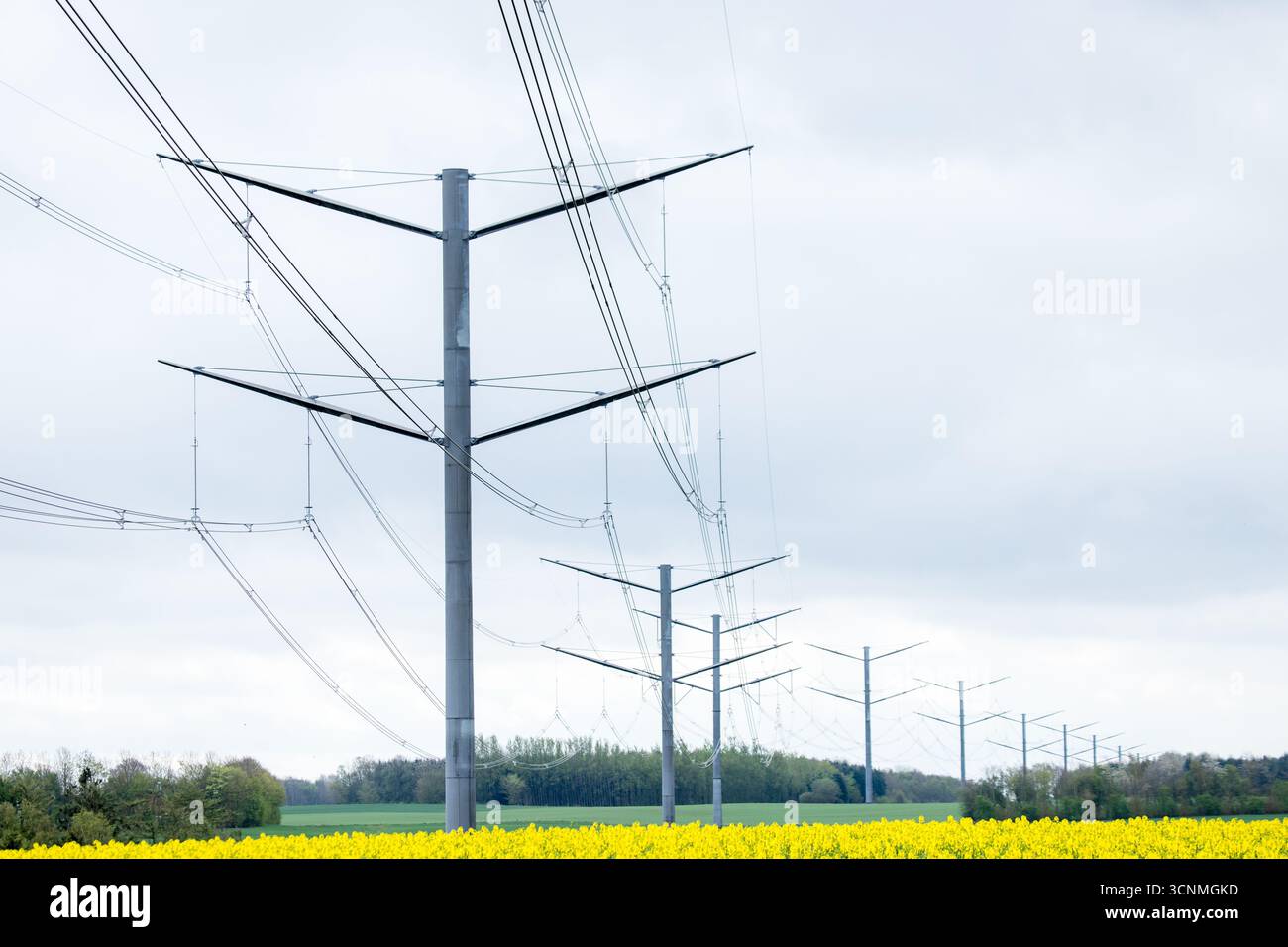 Poteau électrique moderne en métal à haute tension dans le paysage, poteau en métal avec des fils dans le paysage, transport d'électricité, grande électricité dans les terres plates Banque D'Images
