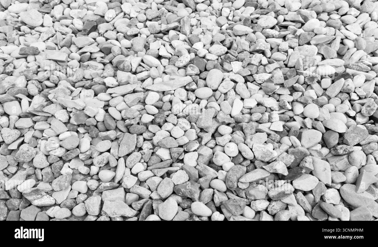 Un arrangement de roches de rivière lisses de forme et de taille variées en monochrome Banque D'Images