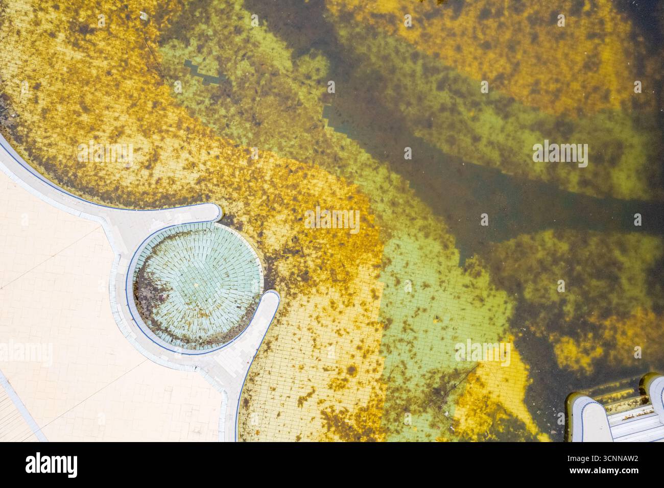 Prise de vue aérienne d'algues dans un étang le concept d'une texture naturelle Banque D'Images