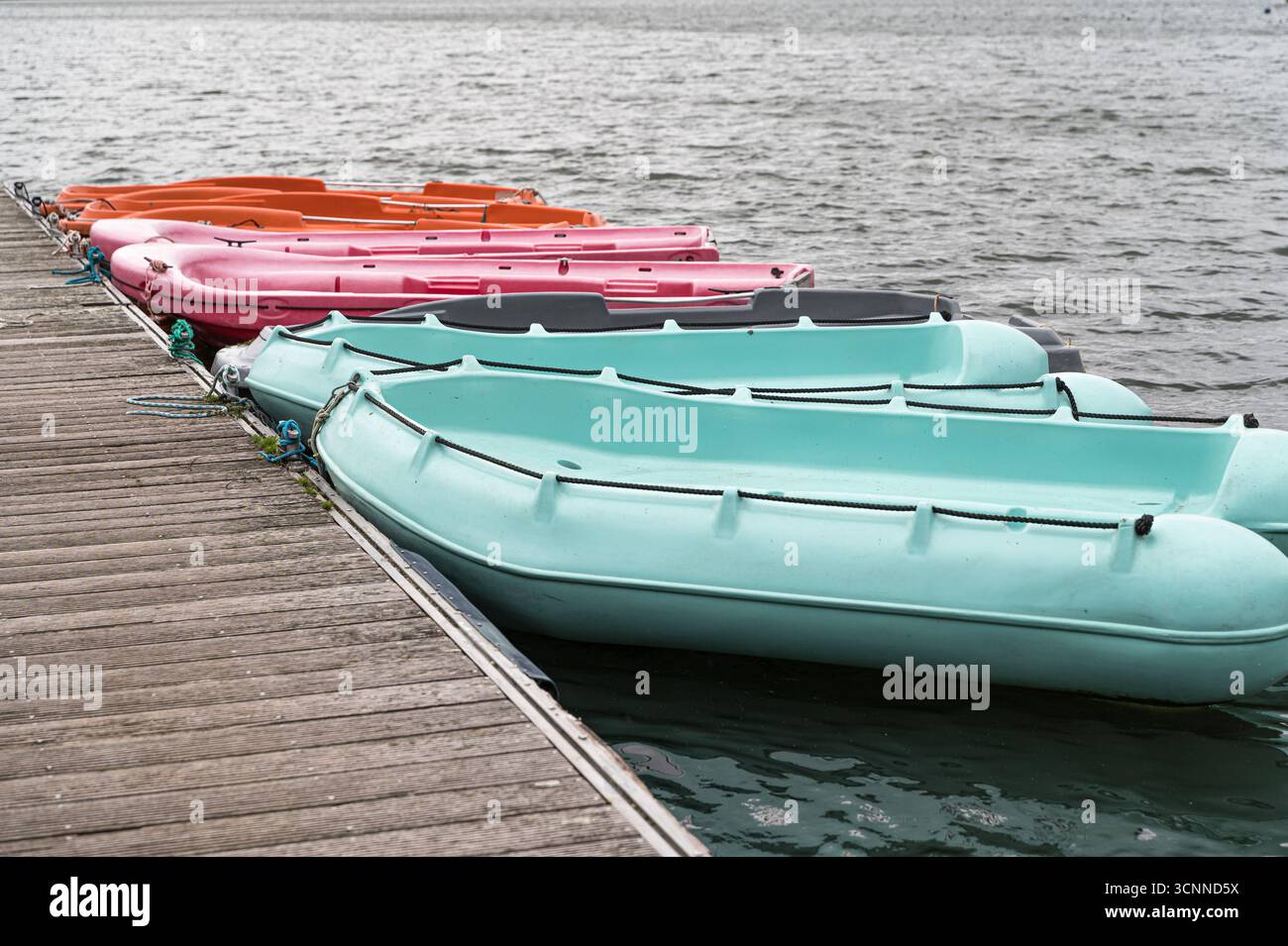 Un éventail dynamique de bateaux colorés est amarré en toute sécurité à la marina, créant une scène pittoresque le long du front de mer Banque D'Images