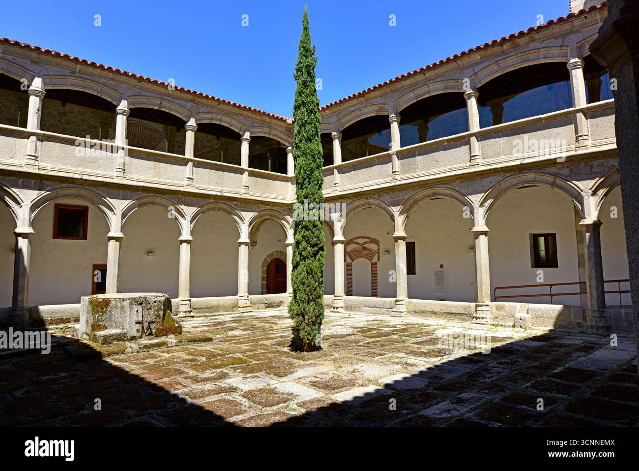 Ville de Ávila, patrimoine mondial de l'UNESCO. Real Monasterio de Santo Tomás (gothique, 1482-1493). Cloître de noviciat. Castilla y León, Espagne. Banque D'Images
