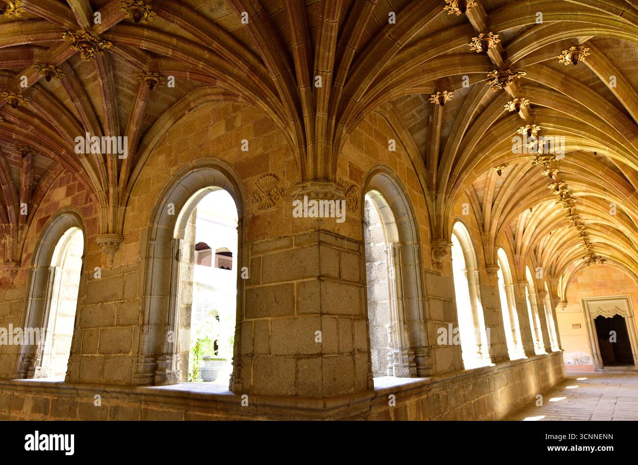 Ville de Ávila, patrimoine mondial de l'UNESCO. Real Monasterio de Santo Tomás (gothique, 1482-1493). Cloître de silence. Castilla y León, Espagne. Banque D'Images