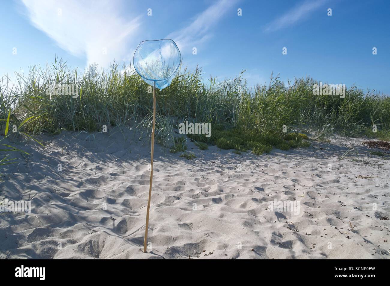 Un filet bleu avec un poteau en bois sur une plage de sable, avec un ciel bleu. Une dune avec de l'herbe derrière elle. Un sentiment de vacances. Un moment de calme dans la nature, avec de la lumière Banque D'Images