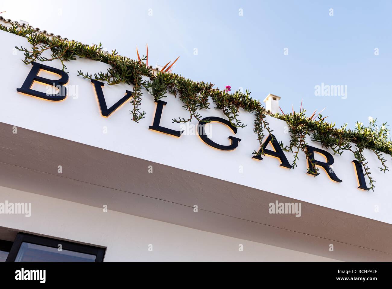 Marbella, Espagne. 21 septembre 2025. Le logo (emblème, logo du fabricant) et le lettrage de la marque Bulgari sont visibles sur la façade d'un magasin d'entreprise à Marbella (province de Malaga, Andalousie, Espagne) le 21 septembre 2025. Bulgari est une société italienne présente dans le monde entier dans le secteur des produits de luxe et de l’hôtellerie. (magasin, image symbolique, photo symbolique, illustration, photo symbolique, photo illustrative, image thème, image générale, photo thème) crédit : Matthias Balk/dpa/Alamy Live News Banque D'Images