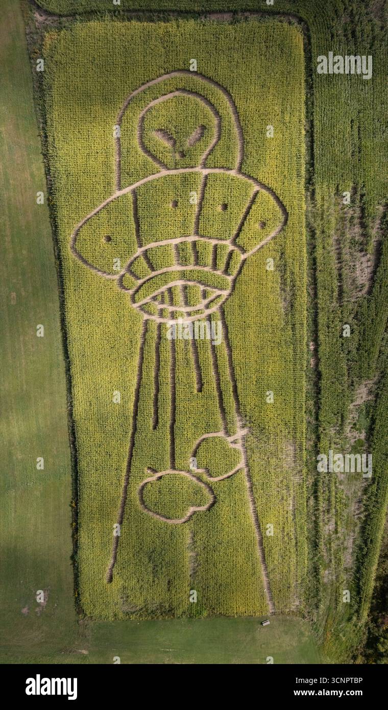 Conception de labyrinthe de maïs, Fultonville, Mohawk Valley, comté de Montgomery, État de New York. Banque D'Images