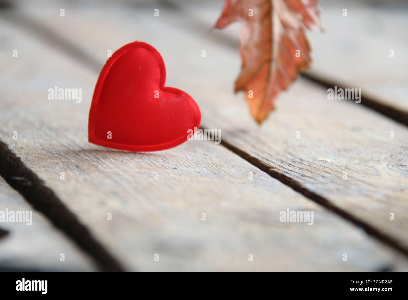 Bonjour concept d'automne. Fond d'automne. Banque D'Images