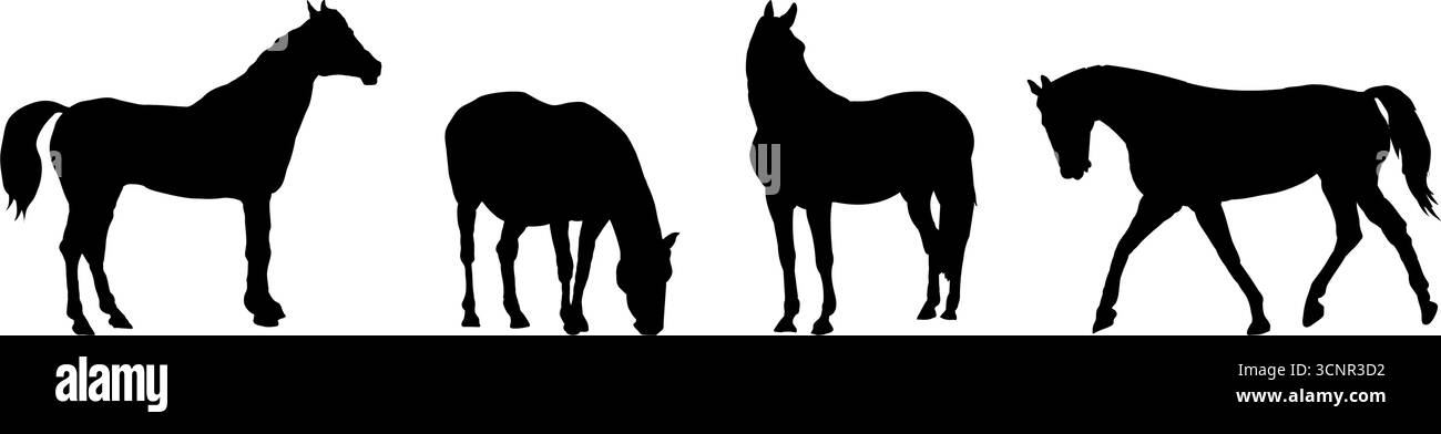 Collection de quatre silhouettes de chevaux dans différentes poses - illustration vectorielle Illustration de Vecteur Collection de quatre silhouettes de chevaux dans différentes poses - illustration vectorielle Illustration de Vecteur