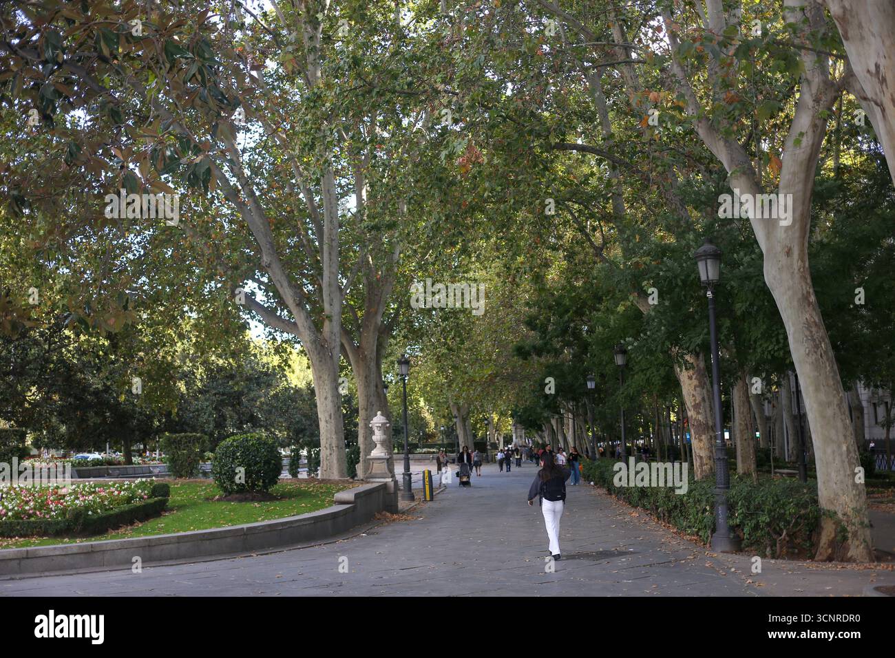 Madrid, Espagne, 22 septembre 2025 : plusieurs personnes se promènent le long du Paseo del Prado pendant l'automne arrive en Espagne, le 22 septembre 2025, à Madrid, Espagne. Crédit : Alberto Brevers / Alamy Live News. Banque D'Images