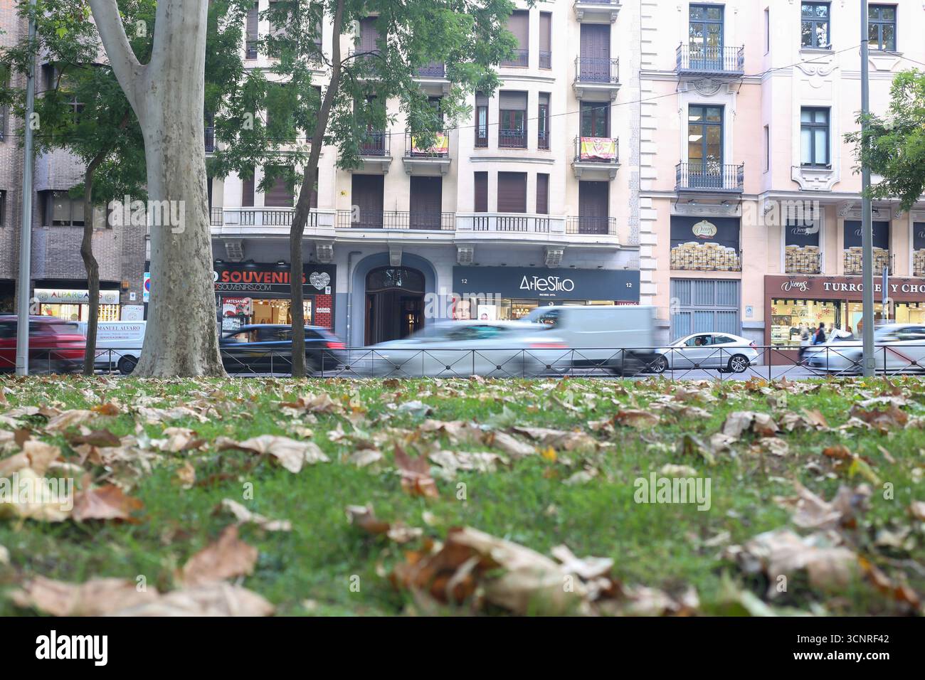 Madrid, Espagne, 22 septembre 2025 : de nombreuses feuilles jonchent l'herbe du Paseo del Prado pendant l'automne arrive en Espagne, le 22 septembre 2025, à Madrid, Espagne. Crédit : Alberto Brevers / Alamy Live News. Banque D'Images