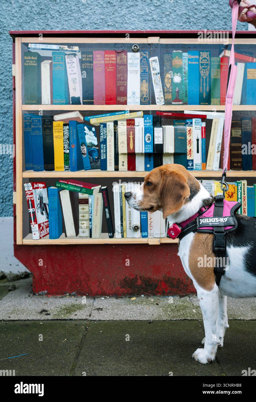 Chien devant une étagère à livres, à Wigtown, en Écosse, qui organise un festival annuel du livre. Banque D'Images