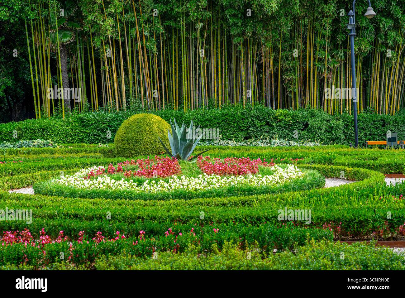angiolina parc plantes et fleurs magnifique cadre jardinage. Banque D'Images