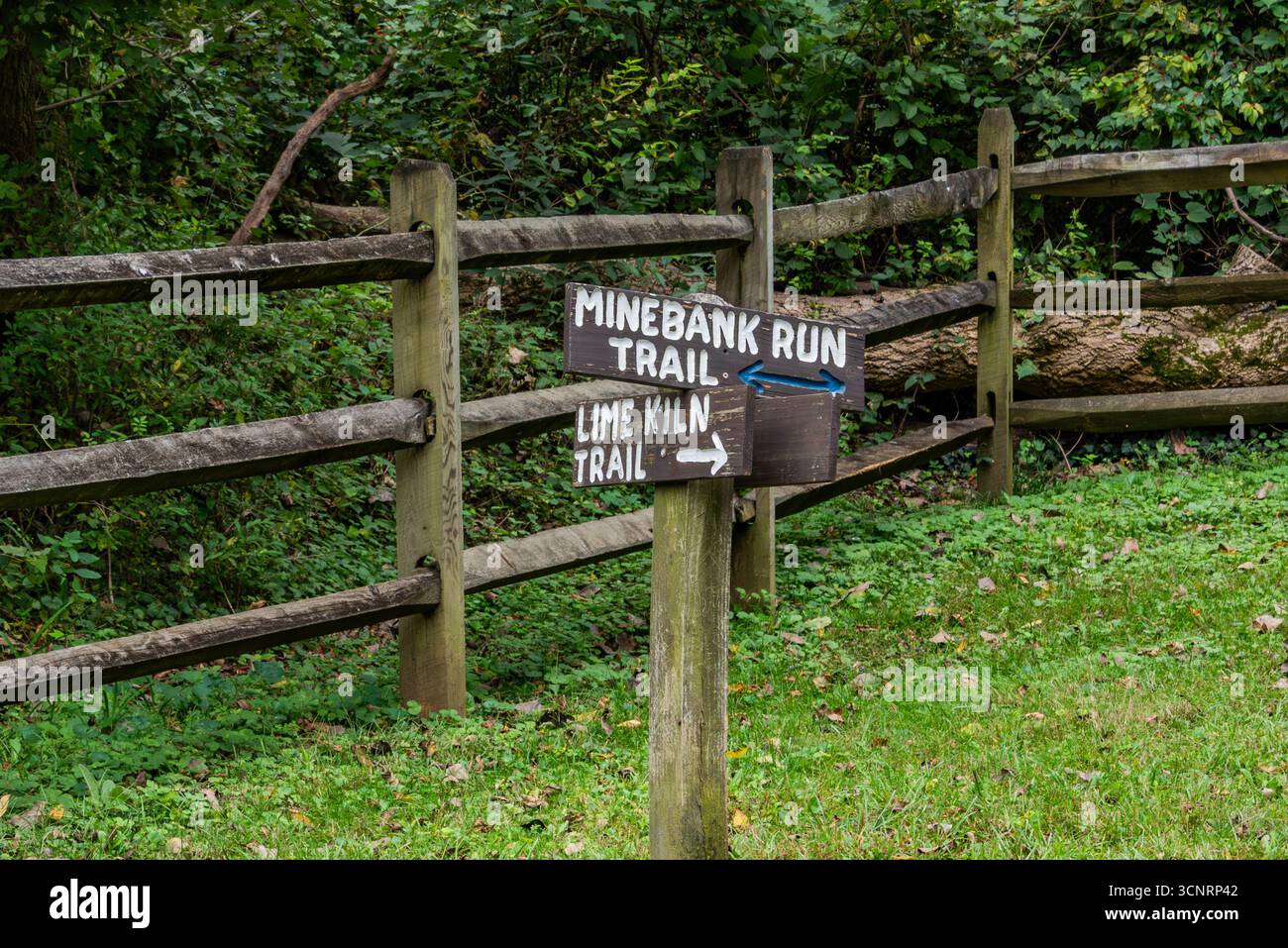 Trail Junction, Cromwell Valley Park, MD Banque D'Images