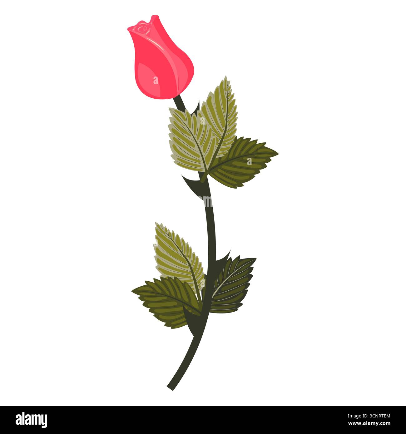 Rose rose vif. Bud sur une tige incurvée. Illustration vectorielle isolée sur un fond blanc. Illustration de Vecteur Rose rose vif. Bud sur une tige incurvée. Illustration vectorielle isolée sur un fond blanc. Illustration de Vecteur