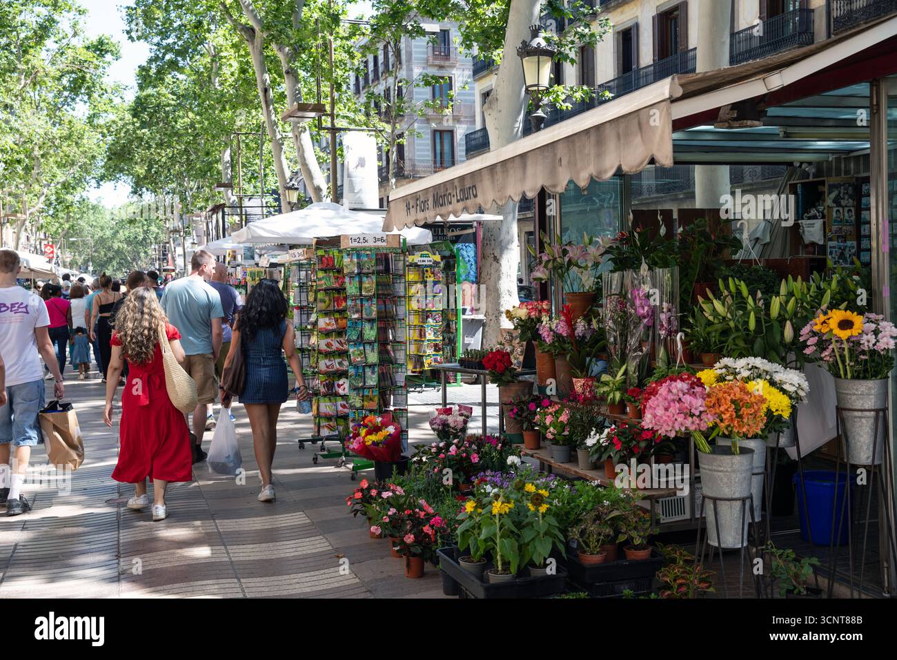 Barcelone, Espagne Banque D'Images