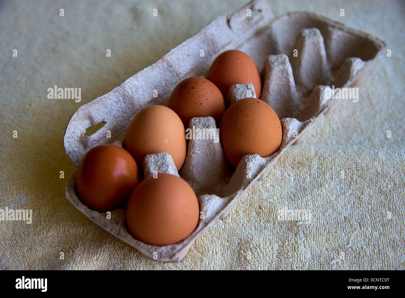 Un mélange parfait d'œufs bruns et mouchetés, tout droit de la ferme. Chaque oeuf est un petit travail de la nature, emballé avec de la fraîcheur et de la saveur riche. Si Banque D'Images