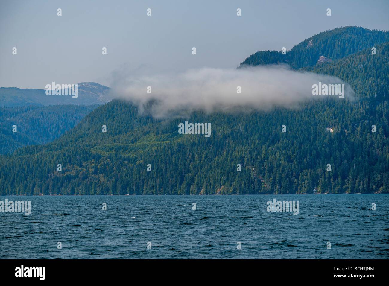 Le chenal Douglas près de Kitimat, Great Bear Rainforest, Colombie-Britannique, Canada. Banque D'Images