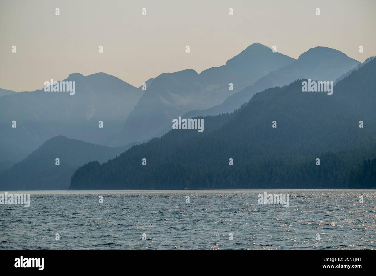 Le chenal Douglas près de Kitimat, Great Bear Rainforest, Colombie-Britannique, Canada. Banque D'Images
