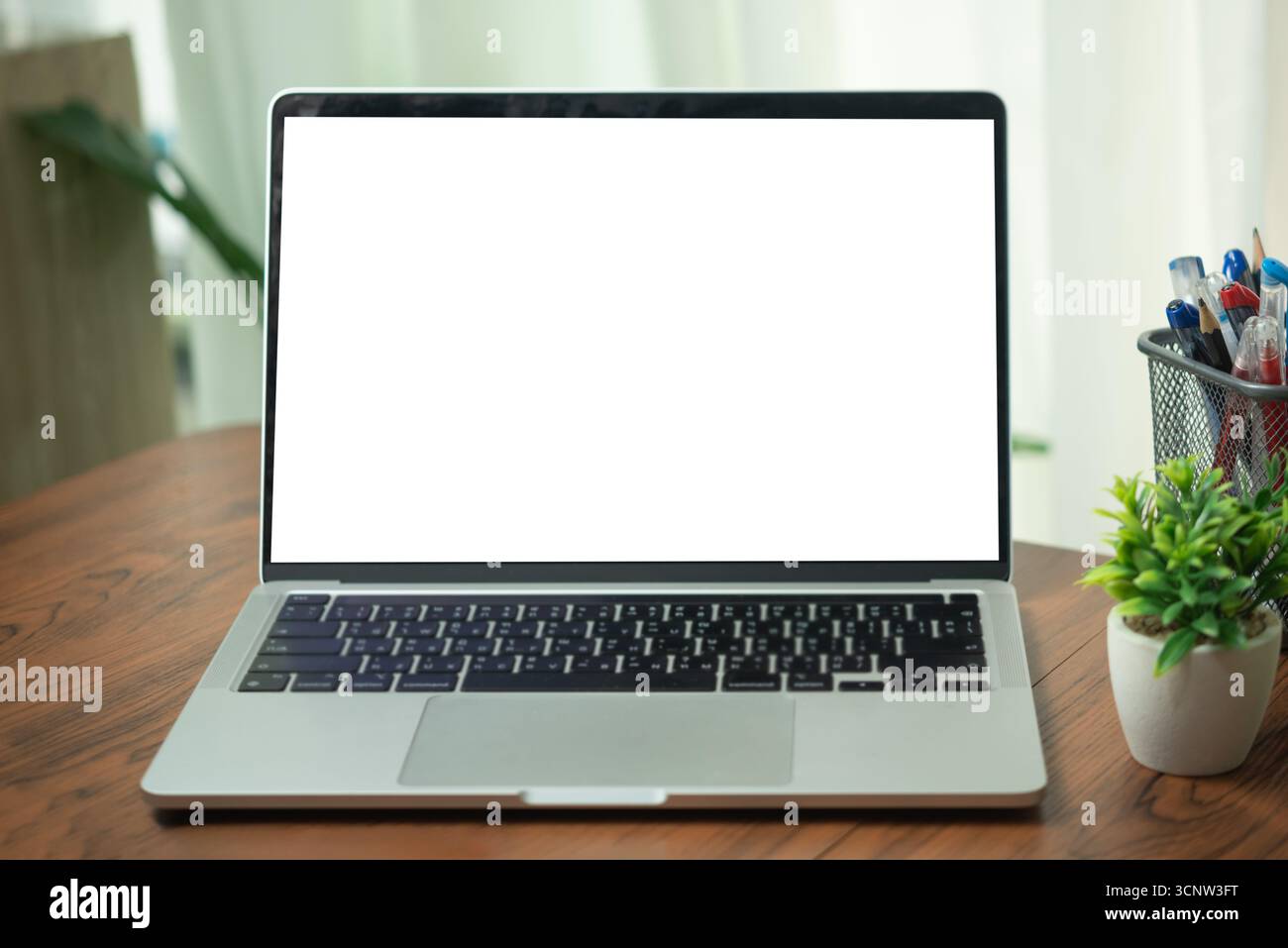 Ordinateur portable ouvert avec un écran blanc vierge sur un bureau en bois avec plante en pot et porte-stylo, représentant un espace de travail propre et organisé. Banque D'Images