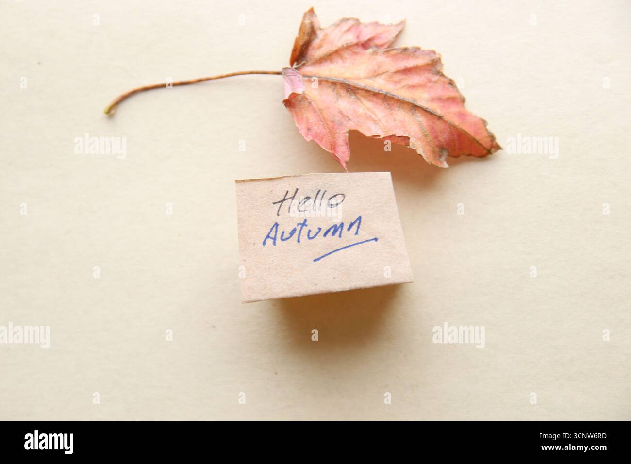 Bonjour concept d'automne. Fond d'automne. Banque D'Images