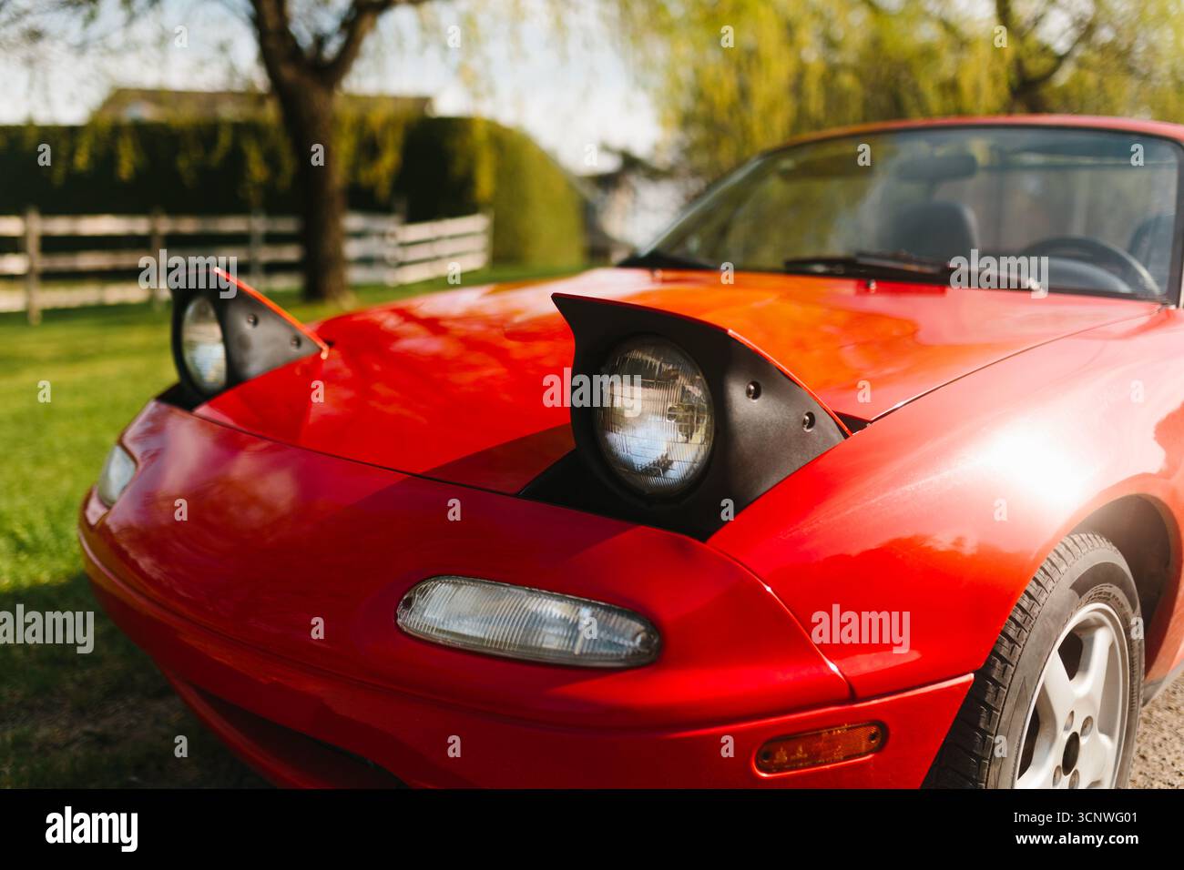 Un cabriolet classique rouge vif avec phares escamotables est stationné paisiblement dans un cadre verdoyant, soulignant le mélange d'élégance vintage Banque D'Images