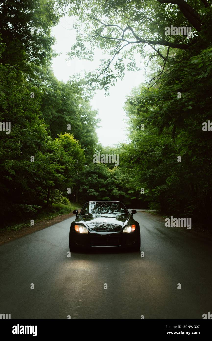 Une voiture décapotable classique traverse une route forestière pittoresque, entourée d'une végétation luxuriante. La lumière du soleil filtre à travers les feuilles, mettant en évidence son Banque D'Images