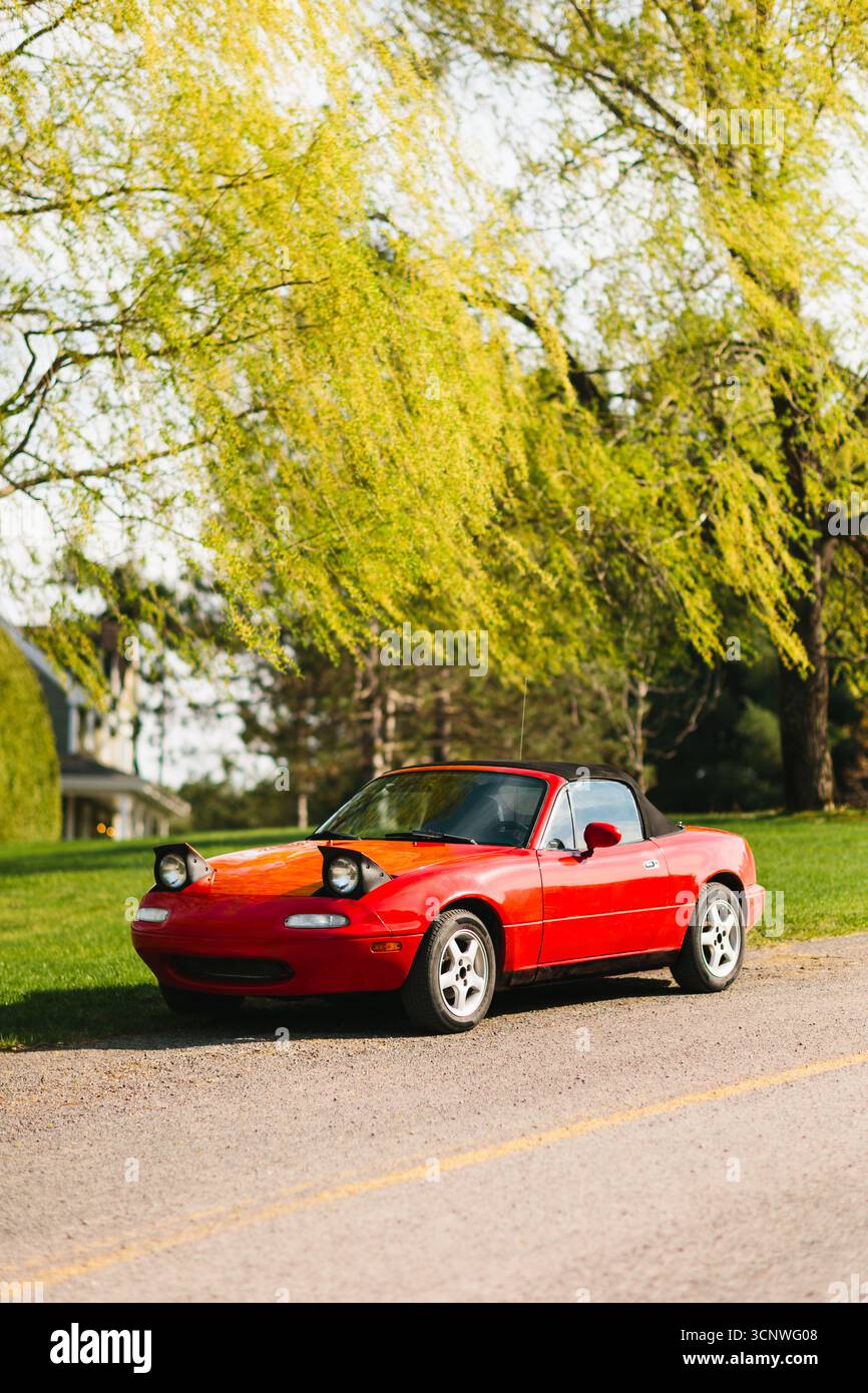Une voiture cabriolet rouge vintage est garée par une journée ensoleillée, mettant en valeur son design classique et son charme. La voiture se tient sous un arbre vert luxuriant, évoquant un sen Banque D'Images