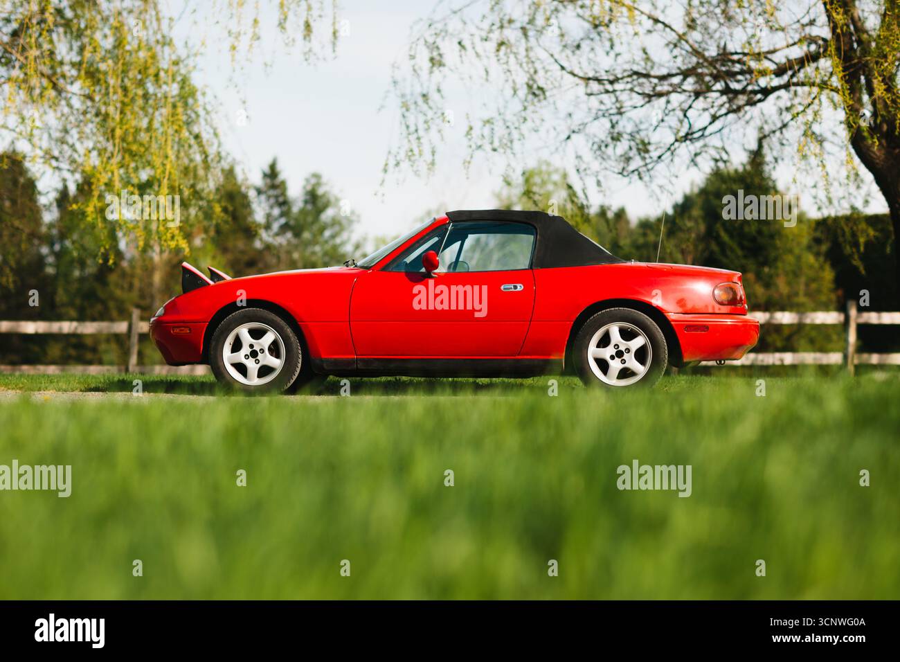Superbe voiture cabriolet classique rouge est garée sur une pelouse verte luxuriante, capturant l'essence de l'élégance vintage et le style intemporel. La couleur vibrante c Banque D'Images