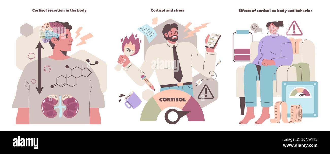 Illustration vectorielle expliquant le rôle du cortisol dans le stress, les fonctions corporelles et le comportement. Décrit l'activité cérébrale, la personne stressée et les effets émotionnels, en mettant en évidence l'impact hormonal. Illustration de Vecteur