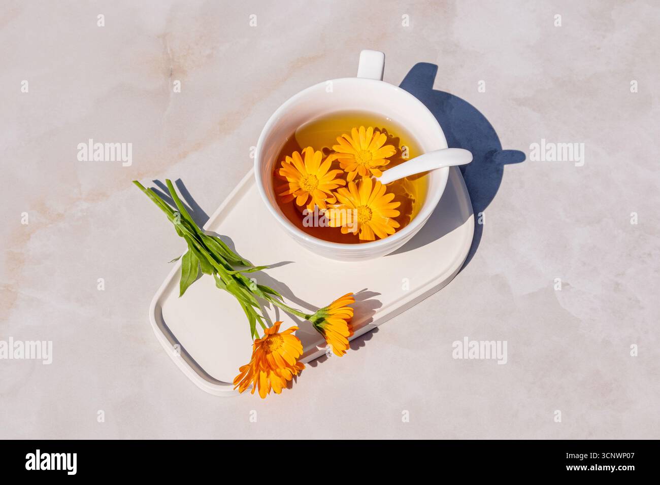 Une tasse de tisane réconfortante avec des fleurs de calendula vibrantes sur un fond clair. La combinaison d'un thé apaisant et de notes florales vibrantes cre Banque D'Images