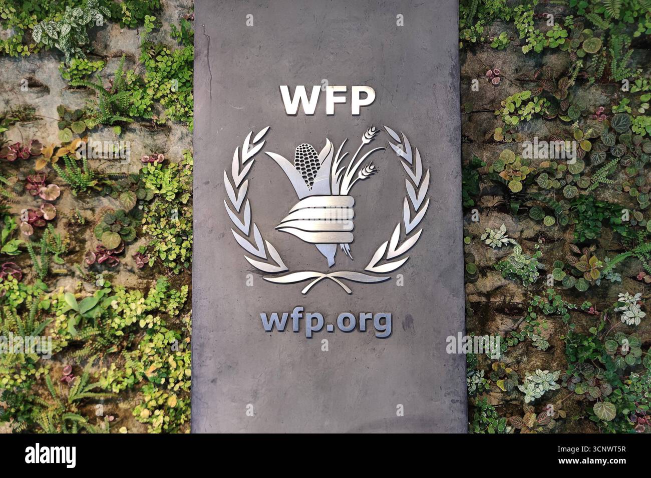 ROM, Italien, 22.09.2025 : PAM : Welternährungsprogramm der Vereinten Nationen *** Rome, Italie, 22 09 2025 PAM Programme alimentaire mondial des Nations Unies Copyright : xdtsxNachrichtenagenturx dts 83759 Banque D'Images