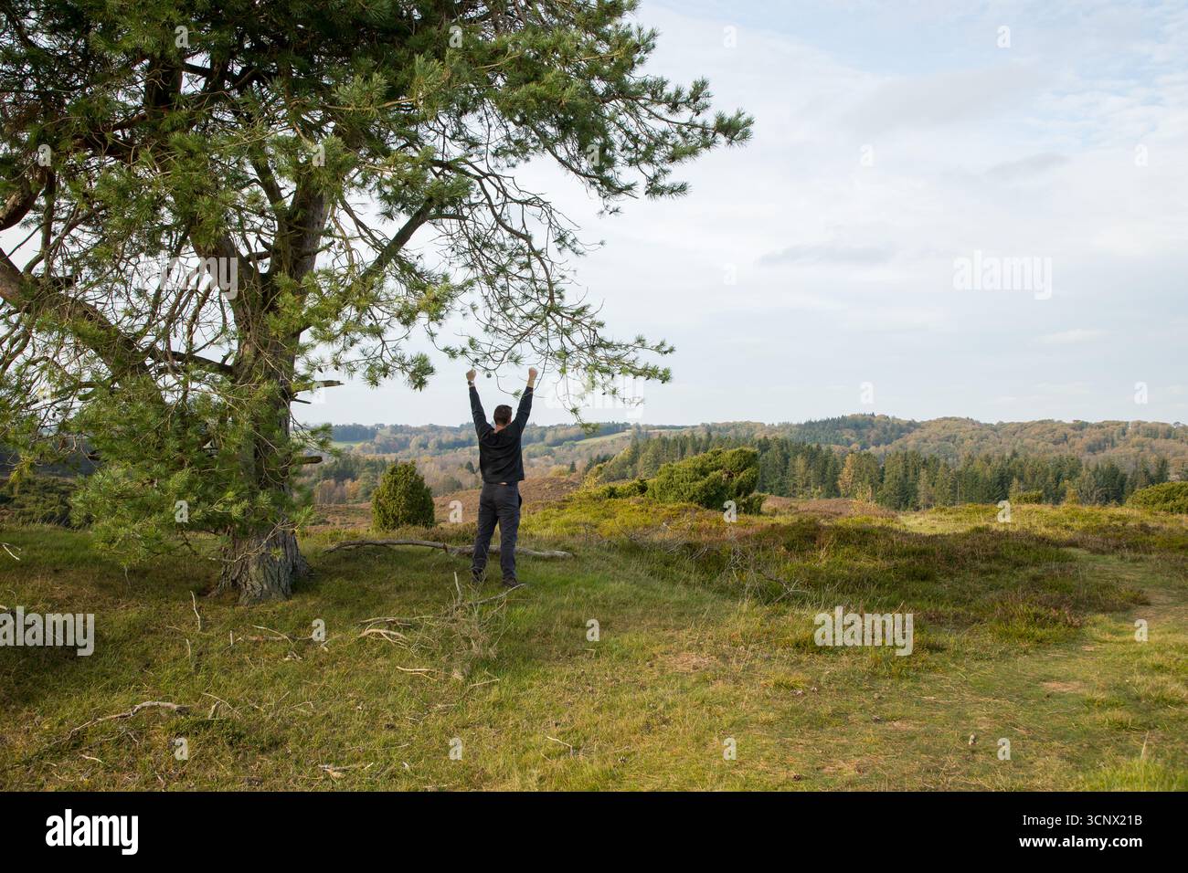homme debout avec les bras en l'air, stature de puissance, homme heureux avec les bras en l'air, succes dans la nature, posture du corps gagné Banque D'Images