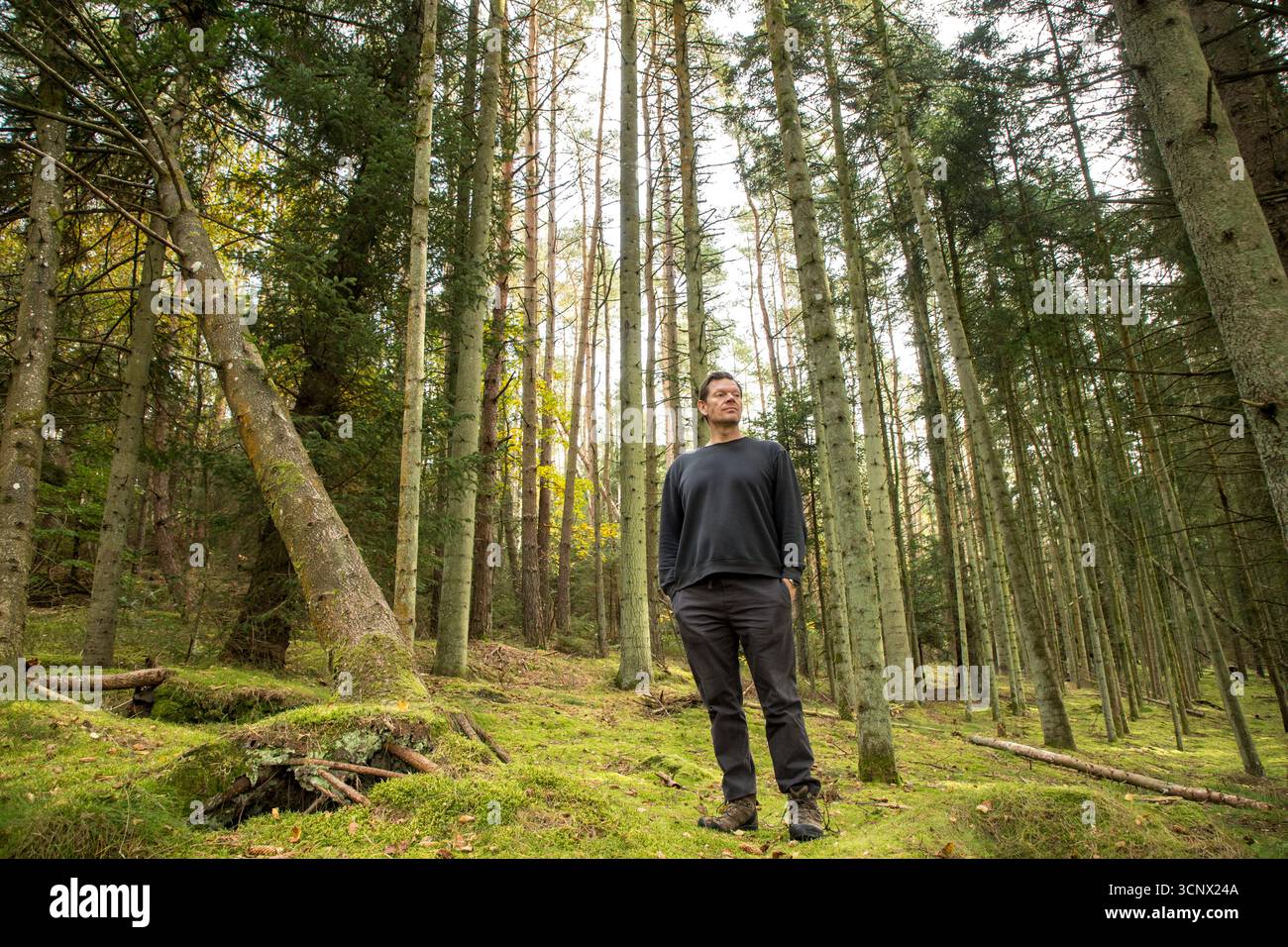 homme debout dans la forêt de pins en chemise et pantalon à l'automne appréciant calme et destress dans la forêt, homme dans la forêt, thérapie de la nature, homme dans la forêt Banque D'Images