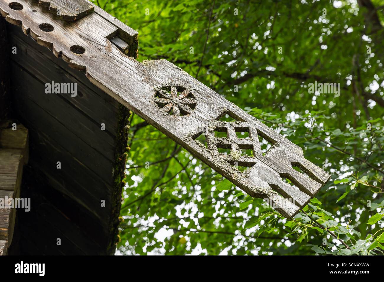 Un ornement de poutres en bois vieilli et finement sculpté se trouve sur un bord de toit rustique, avec de la mousse et de la verdure dans une forêt dense en toile de fond, évoquant le cha rustique Banque D'Images