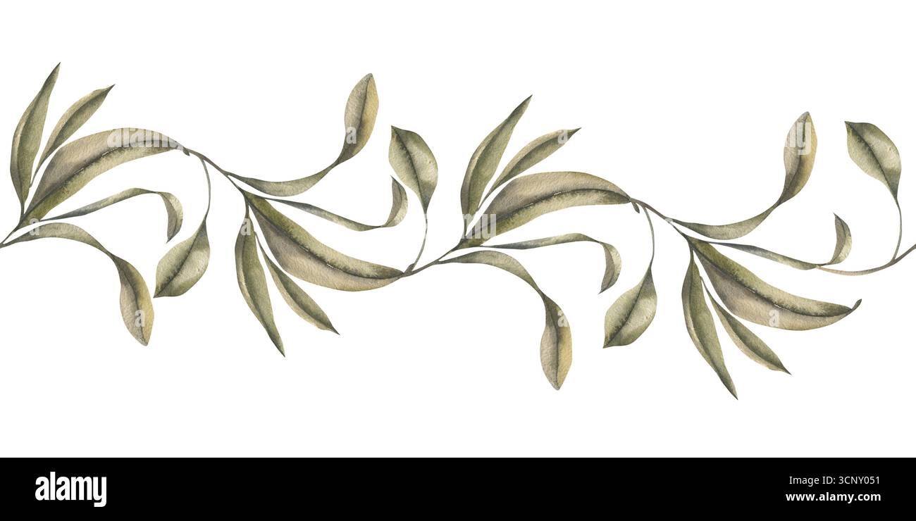 Florale élégante bordure sans couture avec des feuilles exotiques tropicales illustration aquarelle. Motifs botaniques dessinés à la main avec des branches d'eucalyptus pour romantique Banque D'Images