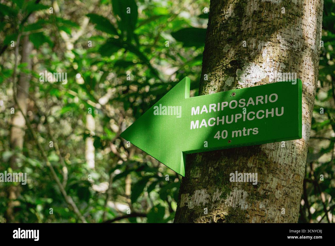 Panneau touristique à la maison des papillons Machu Picchu nichée dans la végétation vibrante de la forêt tropicale Banque D'Images
