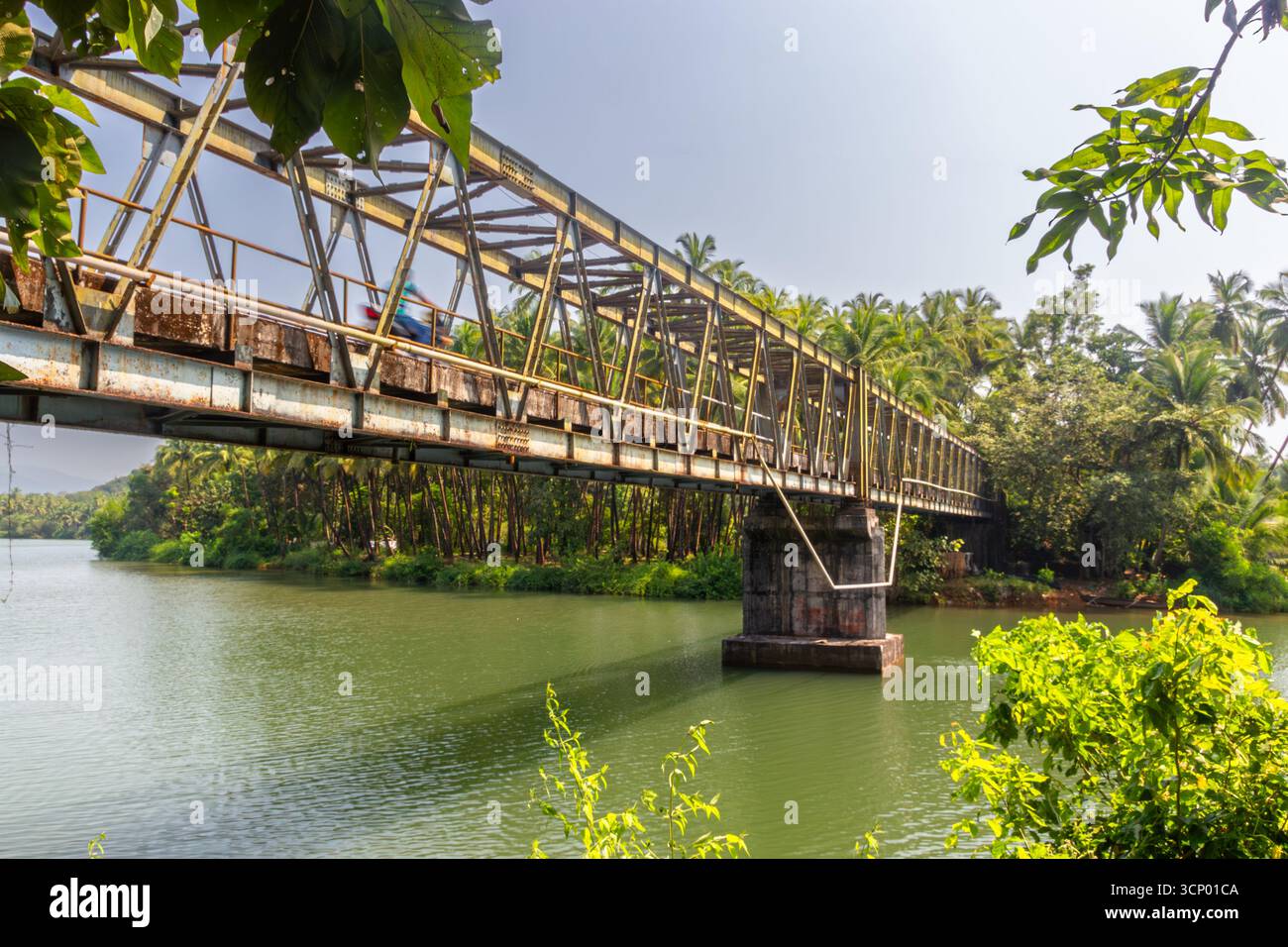 Pont de Goa sur la rivière verte entourée de palmiers Banque D'Images