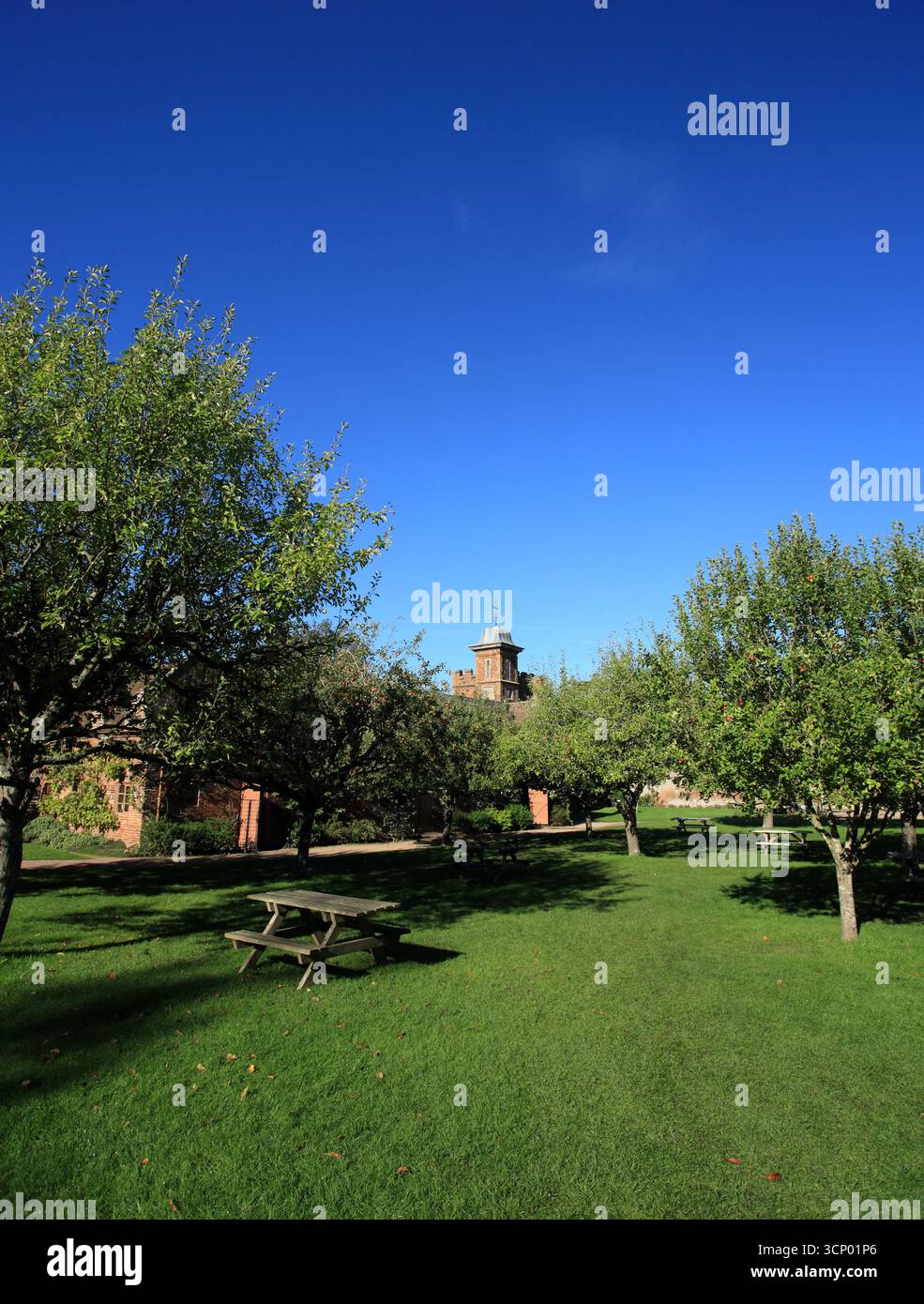 Café extérieur salon à Dudmaston hall, Quatt, Bridgnorth, Shropshire, Royaume-Uni. Banque D'Images