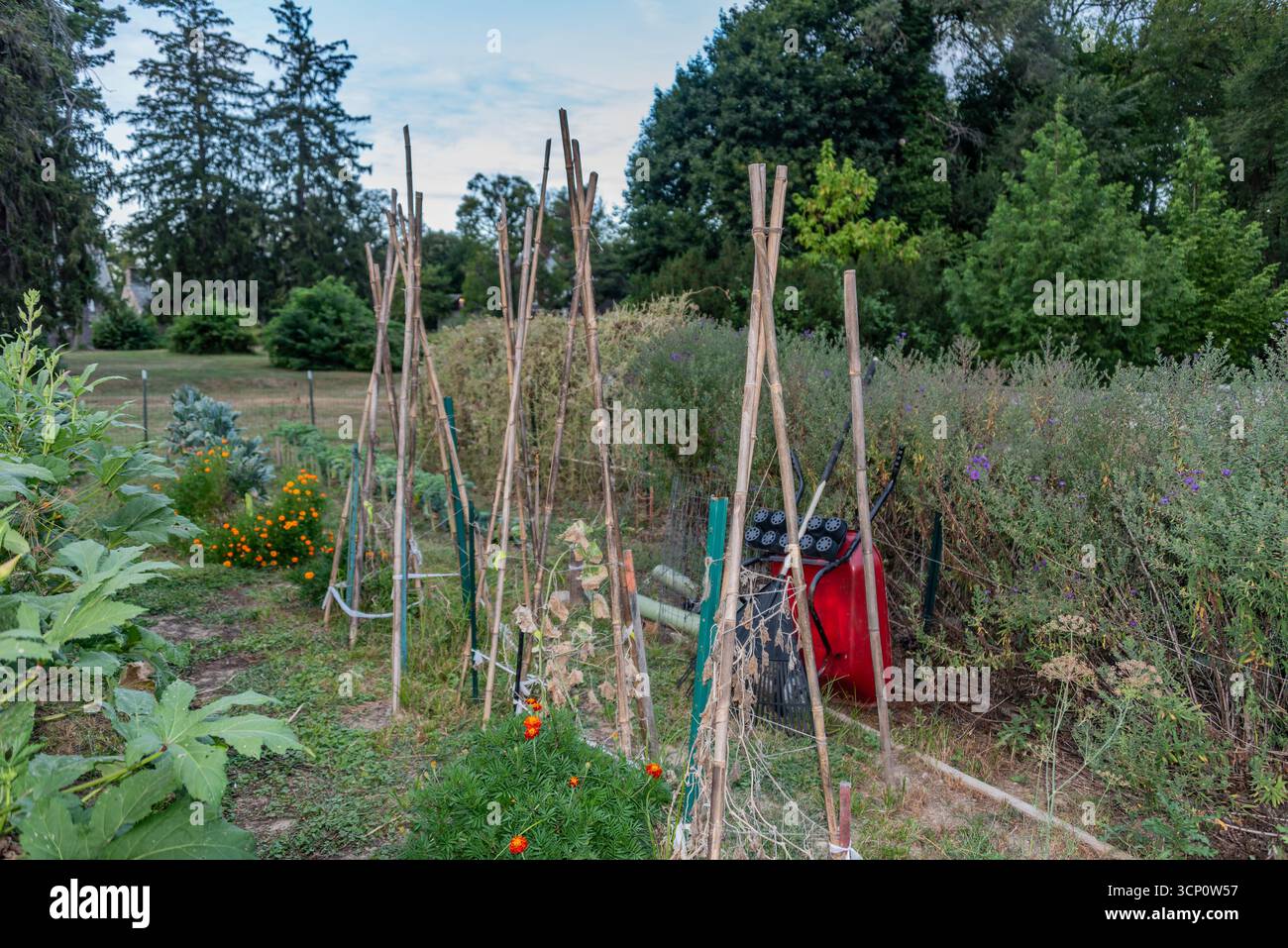 Brouette de roue dans le jardin, York City PA Banque D'Images