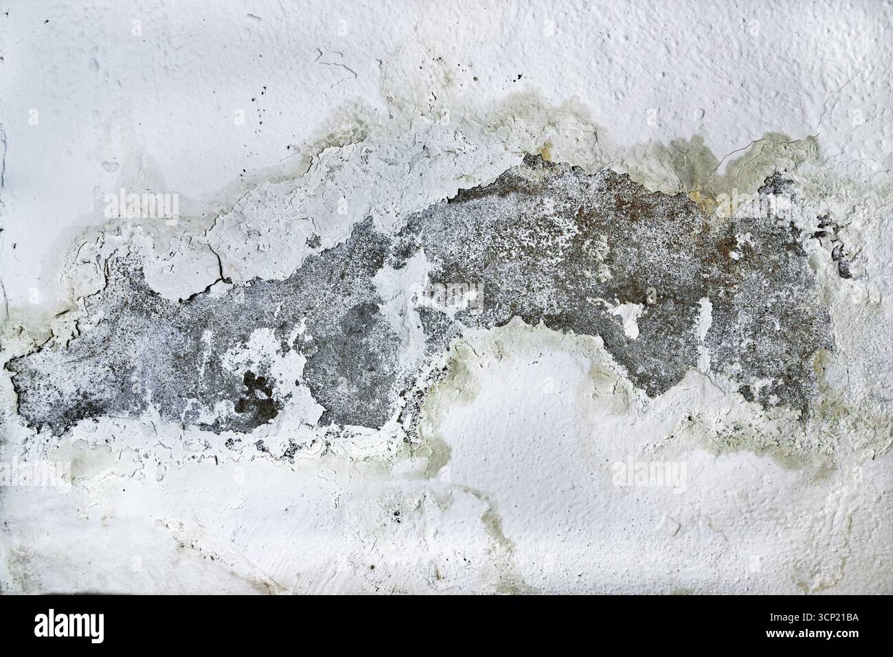 Coin de plafond moisi avec des taches humides et des champignons. Banque D'Images