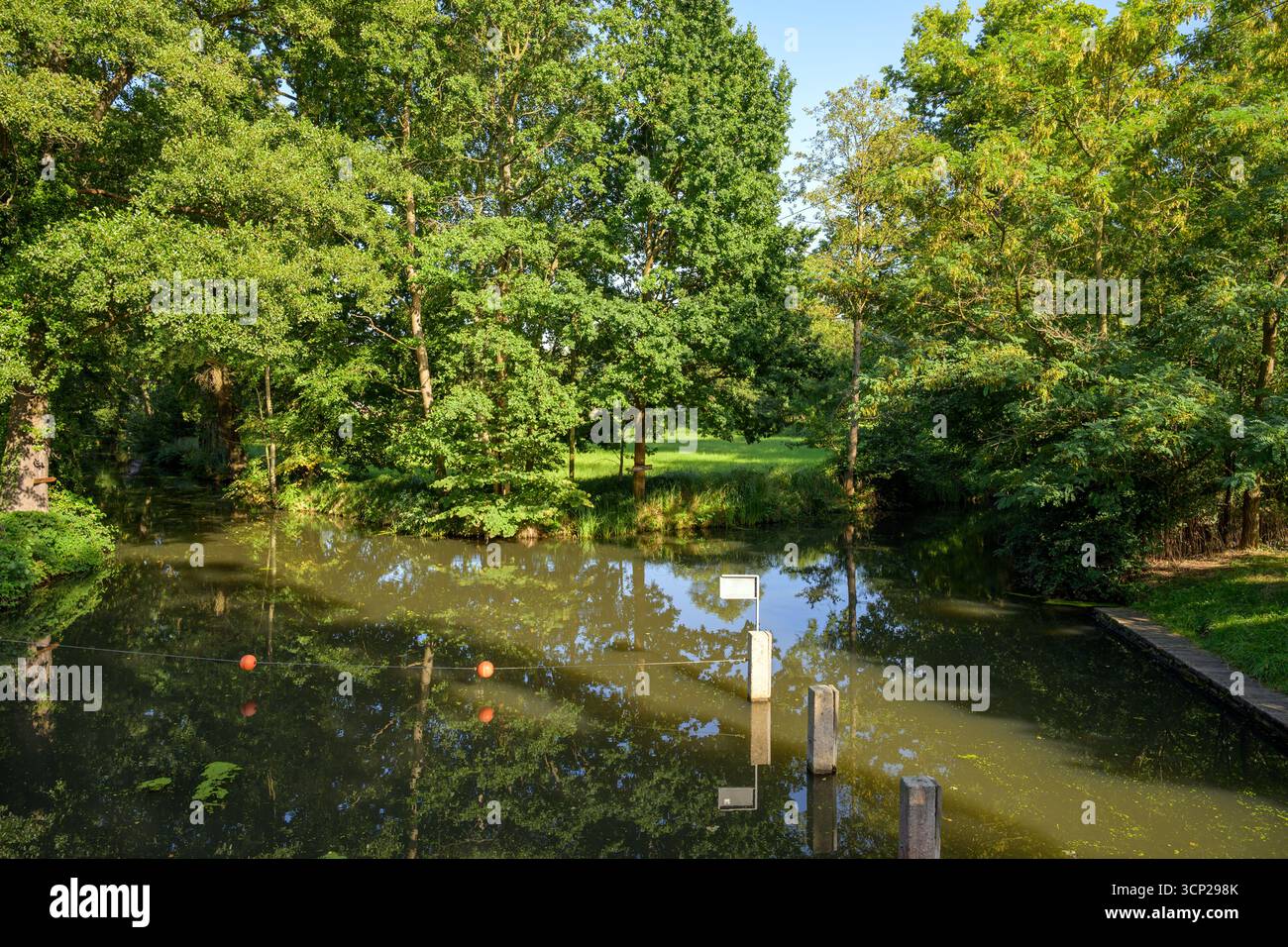 Écluse sur la voie navigable, Spree en été, Spreewald, Brandebourg, Allemagne Banque D'Images