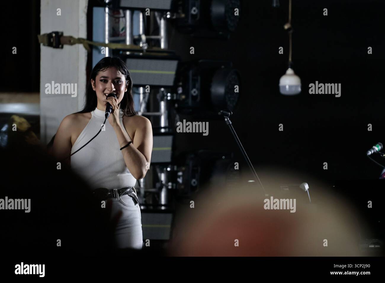 Mexique, CDMX, Mexique. 23 septembre 2025. Le marché le plus important spécialisé dans les fleurs de toutes sortes est le marché jamaïcain, situé à Mexico. Aujourd'hui marque son 68e anniversaire et est l'un des principaux points de vente et de distribution de fleurs de divers états à travers le pays. Avec de la musique live et de la danse dans ses allées, les vendeurs, les employés et les clients célèbrent un autre anniversaire. Ce marché a ouvert ses portes en 1957 dans le cadre de la modernisation de la ville. Il a des racines préhispaniques, comme il était et continue d'être le centre de commerce de fleurs le plus important, relié à cette époque par des rivières ou CA Banque D'Images