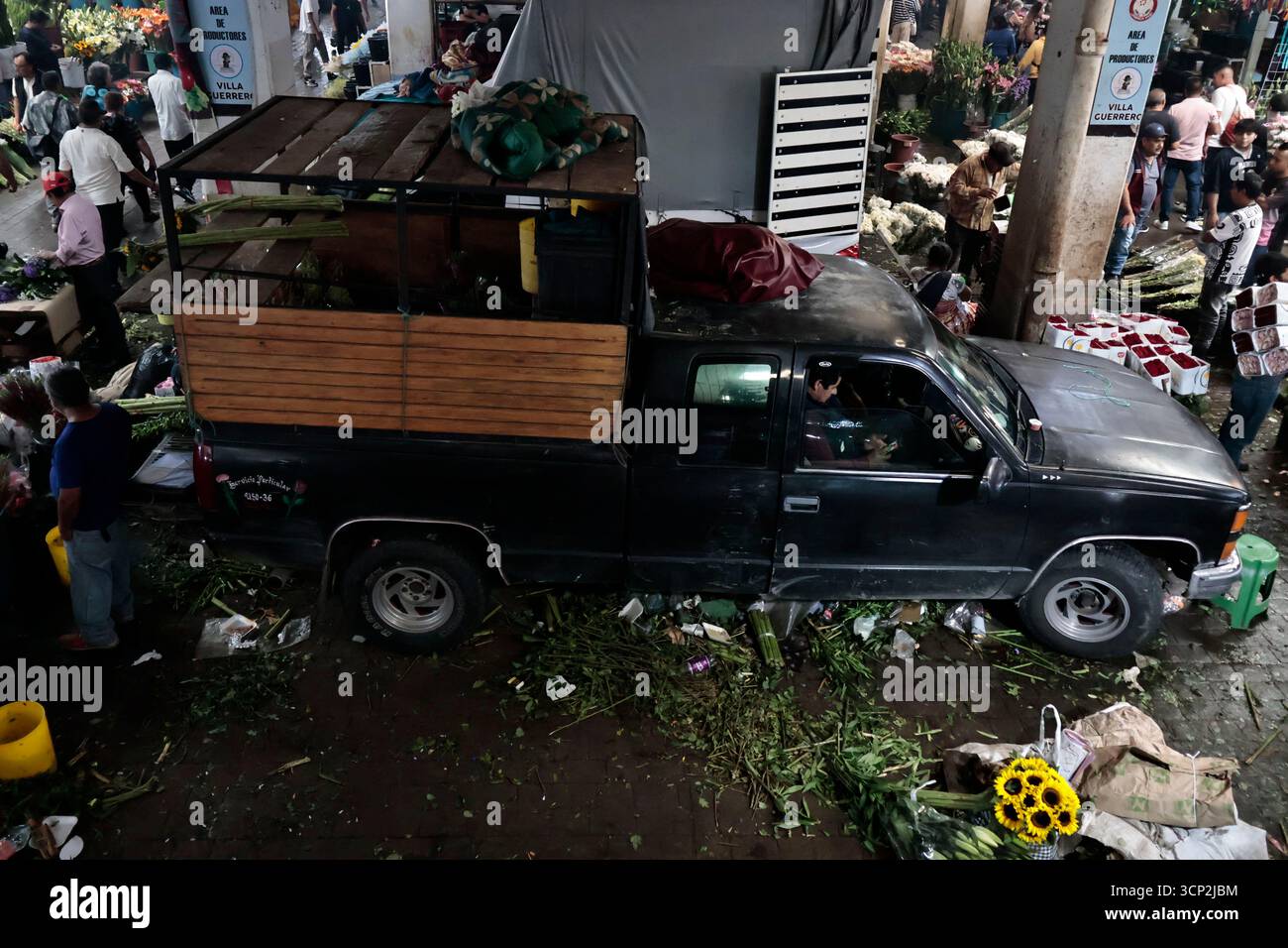 Mexique, CDMX, Mexique. 23 septembre 2025. Le marché le plus important spécialisé dans les fleurs de toutes sortes est le marché jamaïcain, situé à Mexico. Aujourd'hui marque son 68e anniversaire et est l'un des principaux points de vente et de distribution de fleurs de divers états à travers le pays. Avec de la musique live et de la danse dans ses allées, les vendeurs, les employés et les clients célèbrent un autre anniversaire. Ce marché a ouvert ses portes en 1957 dans le cadre de la modernisation de la ville. Il a des racines préhispaniques, comme il était et continue d'être le centre de commerce de fleurs le plus important, relié à cette époque par des rivières ou CA Banque D'Images