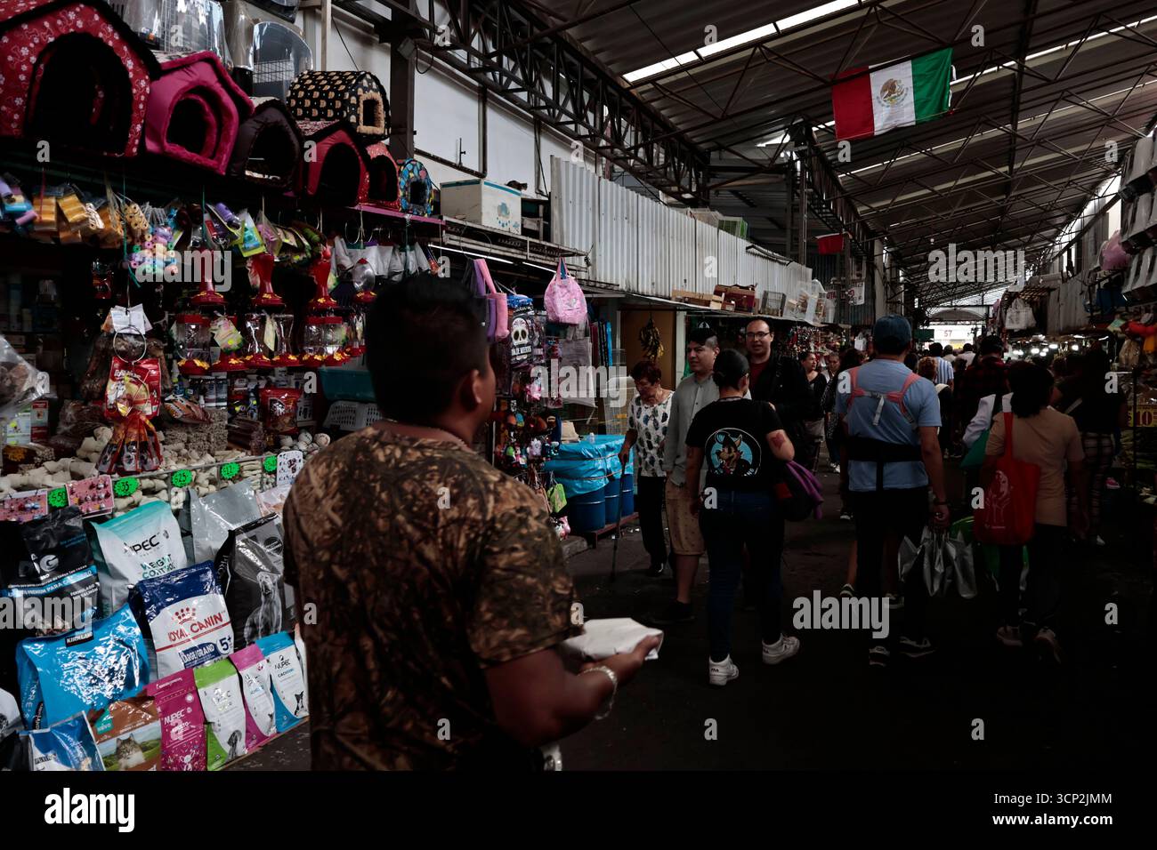 Mexique, CDMX, Mexique. 23 septembre 2025. Le marché le plus important spécialisé dans les fleurs de toutes sortes est le marché jamaïcain, situé à Mexico. Aujourd'hui marque son 68e anniversaire et est l'un des principaux points de vente et de distribution de fleurs de divers états à travers le pays. Avec de la musique live et de la danse dans ses allées, les vendeurs, les employés et les clients célèbrent un autre anniversaire. Ce marché a ouvert ses portes en 1957 dans le cadre de la modernisation de la ville. Il a des racines préhispaniques, comme il était et continue d'être le centre de commerce de fleurs le plus important, relié à cette époque par des rivières ou CA Banque D'Images