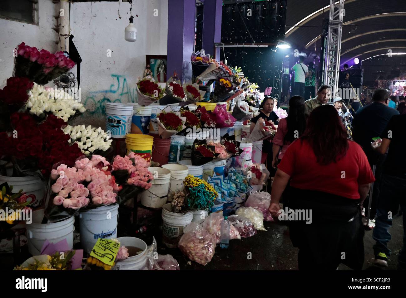Mexique, CDMX, Mexique. 23 septembre 2025. Le marché le plus important spécialisé dans les fleurs de toutes sortes est le marché jamaïcain, situé à Mexico. Aujourd'hui marque son 68e anniversaire et est l'un des principaux points de vente et de distribution de fleurs de divers états à travers le pays. Avec de la musique live et de la danse dans ses allées, les vendeurs, les employés et les clients célèbrent un autre anniversaire. Ce marché a ouvert ses portes en 1957 dans le cadre de la modernisation de la ville. Il a des racines préhispaniques, comme il était et continue d'être le centre de commerce de fleurs le plus important, relié à cette époque par des rivières ou CA Banque D'Images